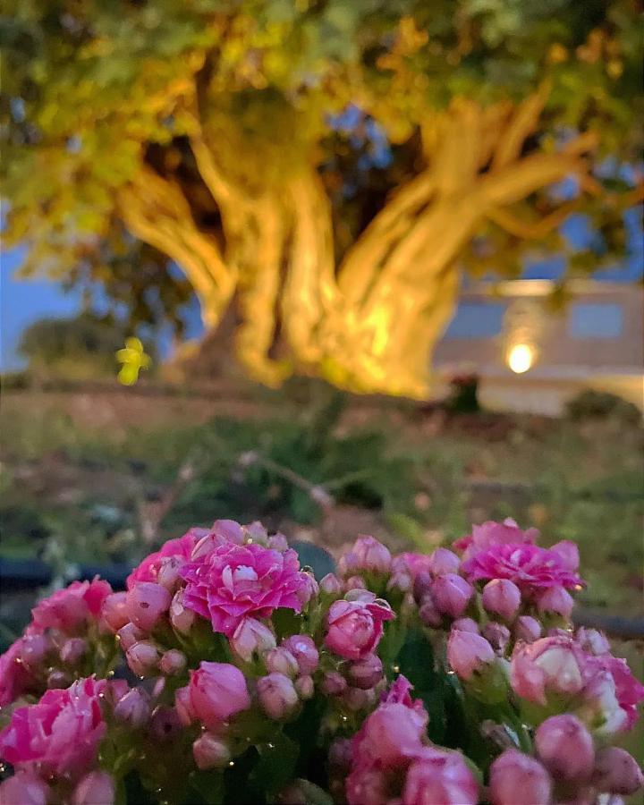 Carrua ξενώνας Marzamemi Εξωτερικό φωτογραφία