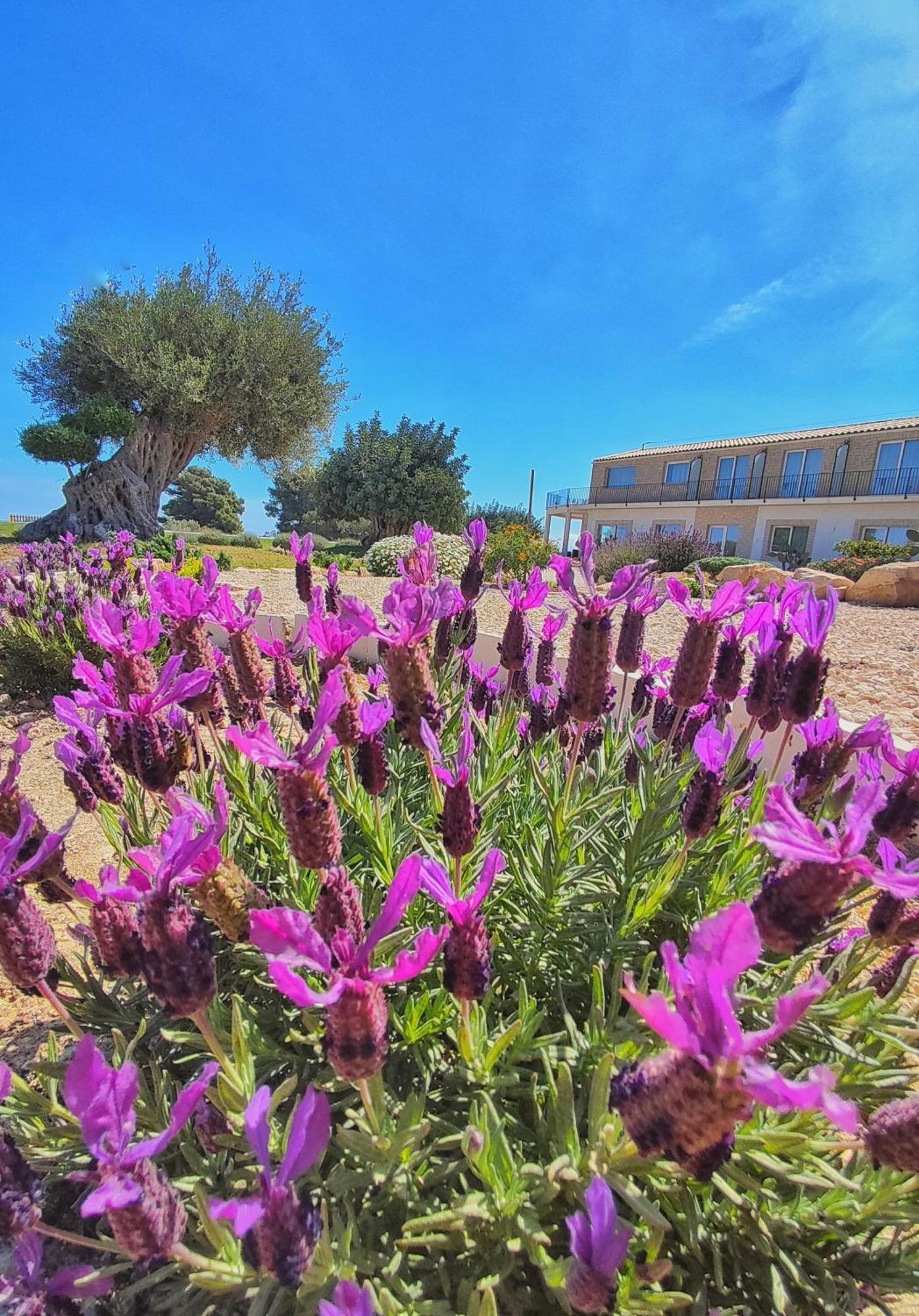 Carrua ξενώνας Marzamemi Εξωτερικό φωτογραφία